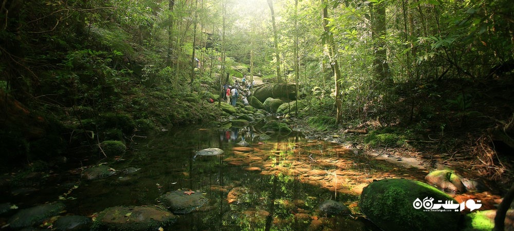 کشور تایلند در قاره آسیا - توریستگاه