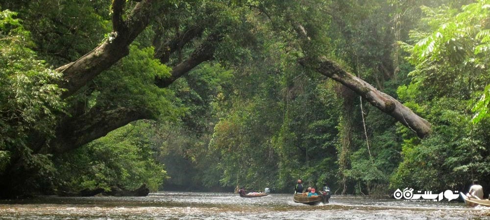 کشور مالزی در قاره آسیا - توریستگاه
