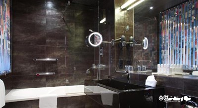   هتل رادیسون سونیا شهر سن پترزبورگ