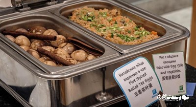   هتل  هالیدی این تگانسکی  شهر مسکو