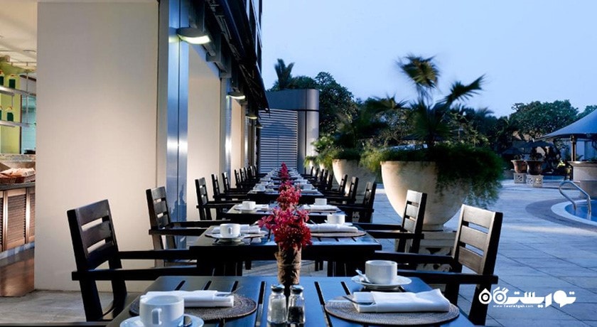 محوطه فضای باز رستوران الیگیتر پییر