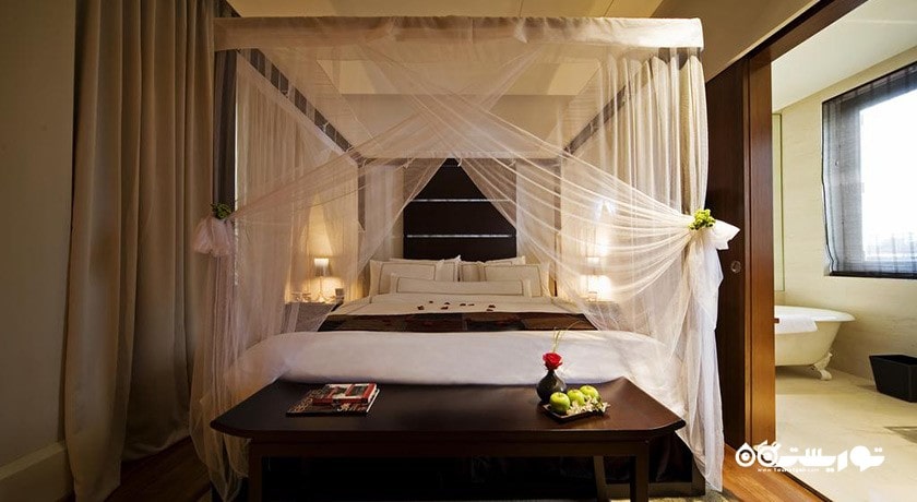 نمای تخت بزرگ سوئیت استودیو