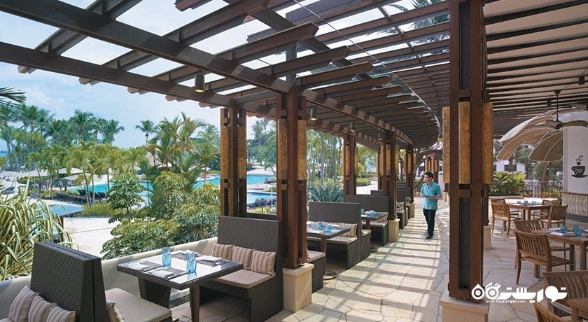 رستوران داین آن تری سیلور شل کافه