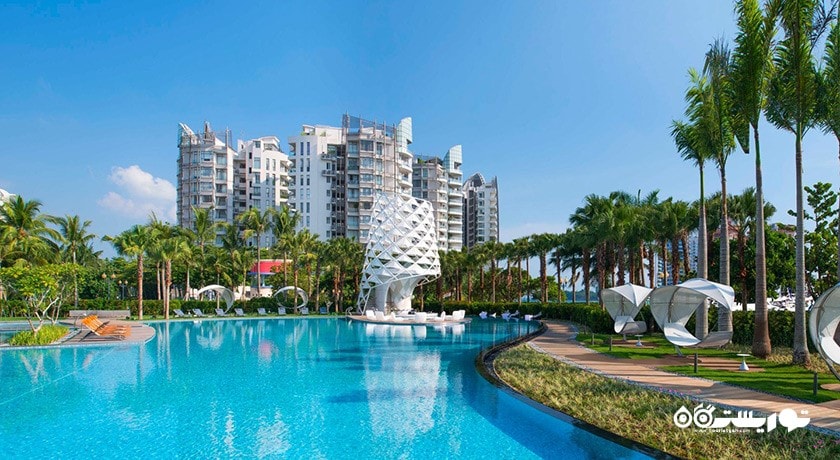 استخر روباز هتل دابلیو سنگاپور - سانتوسا کو