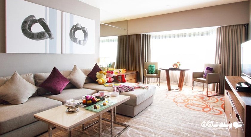 محوطه نشیمن سوئیت استودیو