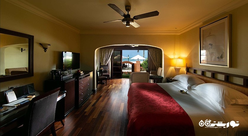نمای تخت بزرگ سوئیت استودیو 