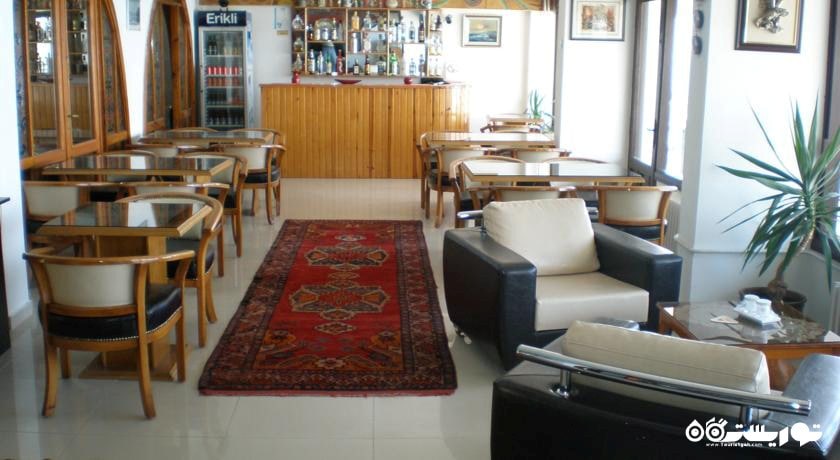 محوطه نشیمن بار لابی هتل