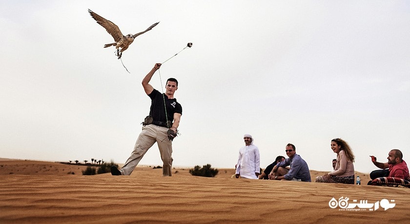 سرگرمی های هتل پولمن جمیرا لیک تاورز 