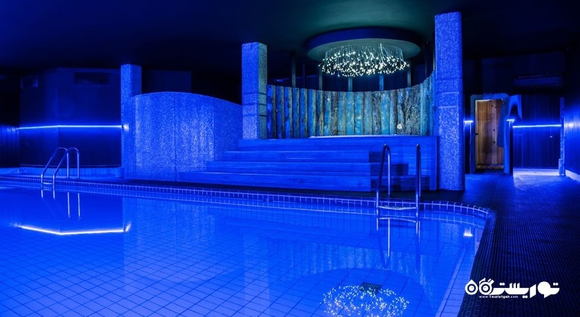 استخر سرپوشیده هتل پارک این بای رادیسون پولکووسکایا