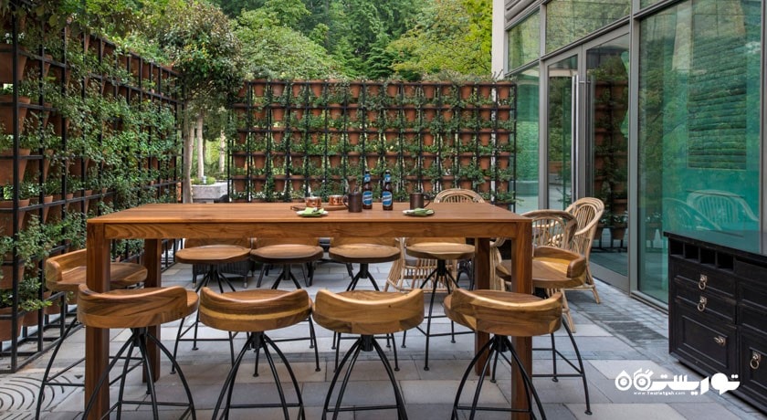 محوطه فضای باز کیوبانو لیتو بار اند گریل