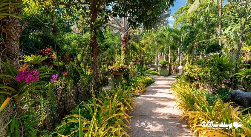 محوطه فضای سبز هتل تاورن بیچ