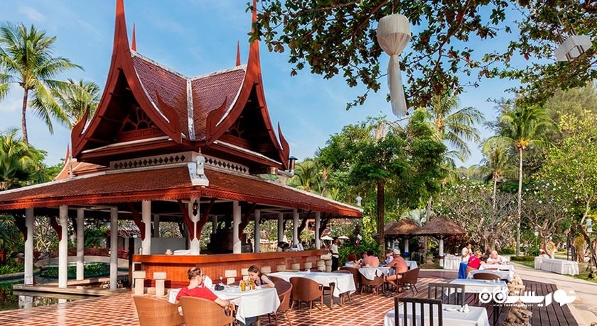 نمای کلی از پول بار کروکدیل