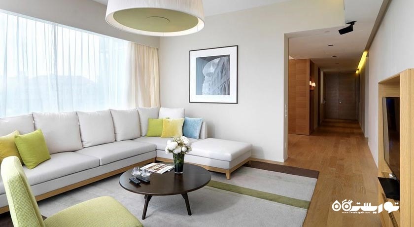محوطه نشیمن آپارتمان یک خوابه