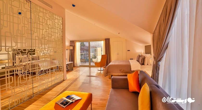 محوطه نشیمن اتاق اکونومی