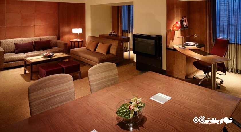 محوطه نشیمن اتاق دوبلکس