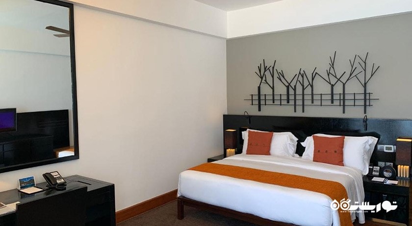 نمای تخت بزرگ سوئیت استودیو