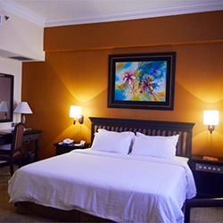 سوئیت جونیور