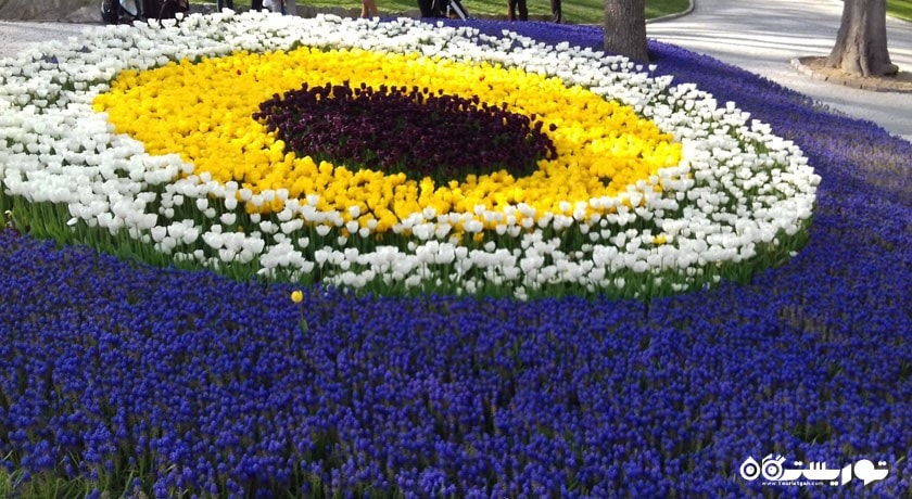  پارک امیرگان شهر ترکیه کشور استانبول