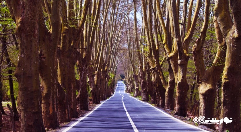  جنگل بلگراد شهر ترکیه کشور استانبول