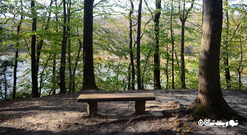  جنگل بلگراد شهر ترکیه کشور استانبول