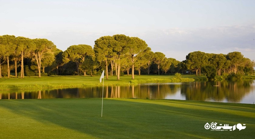 گلف در استانبول -  شهر استانبول