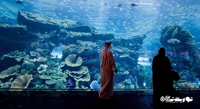 آکواریوم و باغ وحش زیر آبی دبی -  شهر دبی