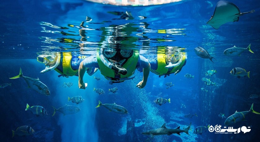 سرگرمی د لاست چمبرز آکواریوم شهر امارات متحده عربی کشور دبی