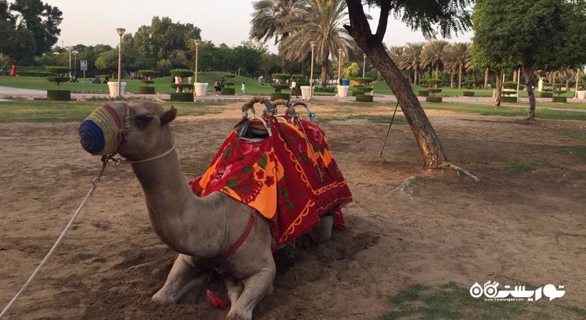  کریک پارک شهر امارات متحده عربی کشور دبی