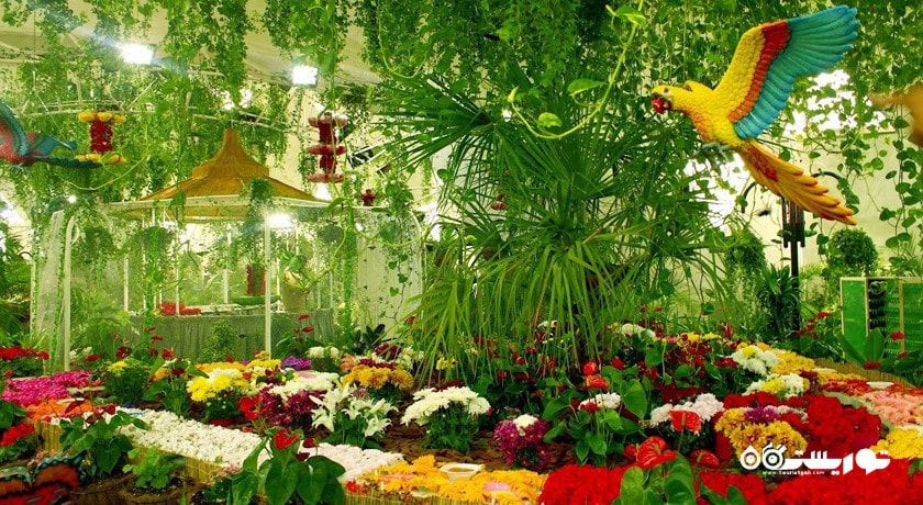  باغ پروانه دبی شهر امارات متحده عربی کشور دبی