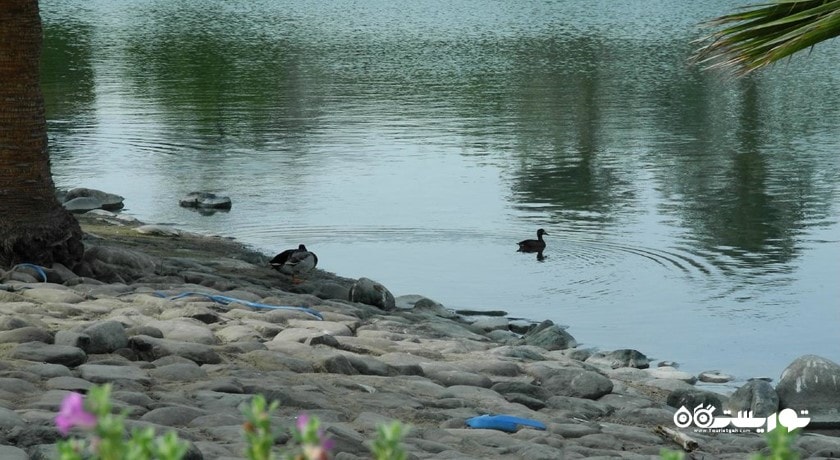  پارک صفا شهر امارات متحده عربی کشور دبی