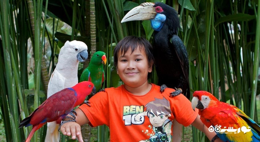 سرگرمی باغ پرندگان کوالالامپور شهر مالزی کشور کوالالامپور