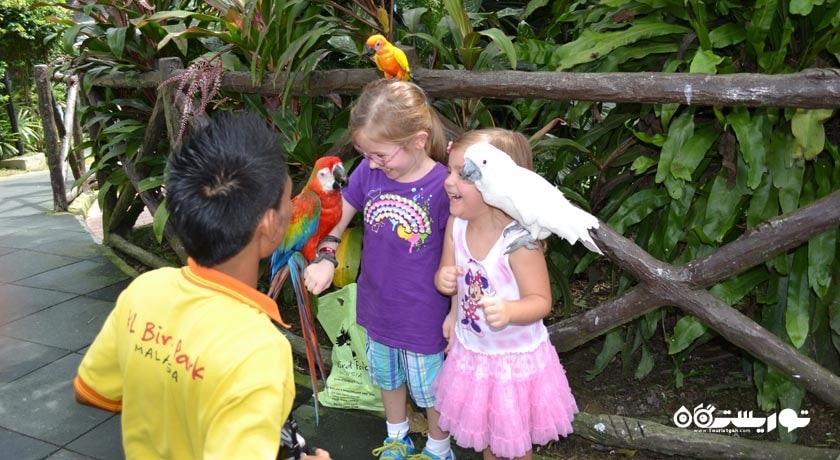 باغ پرندگان کوالالامپور -  شهر کوالالامپور