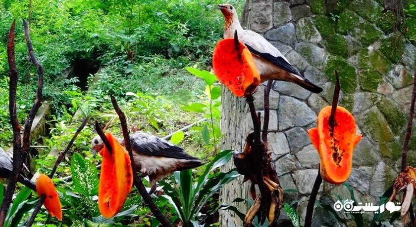 باغ پرندگان کوالالامپور -  شهر کوالالامپور