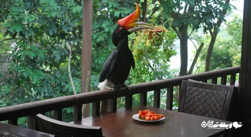 باغ پرندگان کوالالامپور -  شهر کوالالامپور