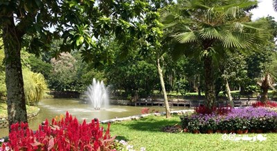سرگرمی باغ گیاه شناسی پردانا (لیک گاردن سابق) شهر مالزی کشور کوالالامپور