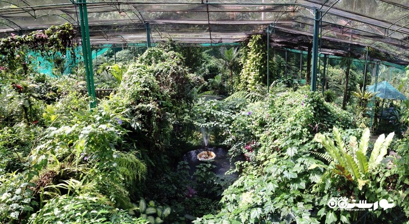  باغ پروانه کوالالامپور شهر مالزی کشور کوالالامپور