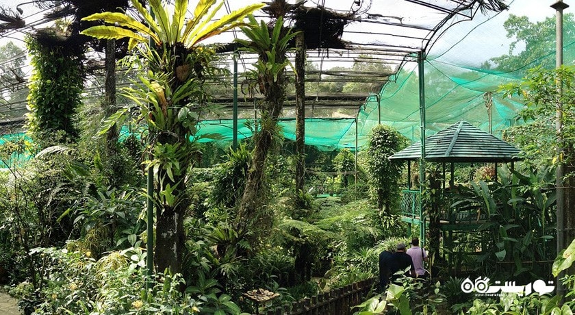  باغ پروانه کوالالامپور شهر مالزی کشور کوالالامپور