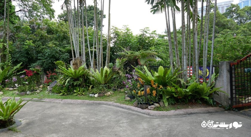  پارک ارکیده کوالالامپور (اورکد پارک) شهر مالزی کشور کوالالامپور