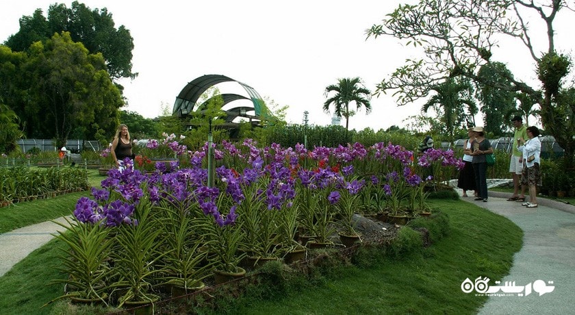  پارک ارکیده کوالالامپور (اورکد پارک) شهر مالزی کشور کوالالامپور