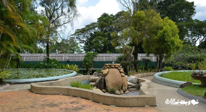  باغ هبیسکوس کوالالامپور (هبیسکوس گاردن) شهر مالزی کشور کوالالامپور