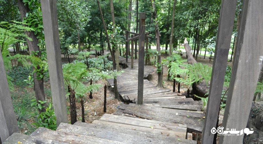  باغ هبیسکوس کوالالامپور (هبیسکوس گاردن) شهر مالزی کشور کوالالامپور