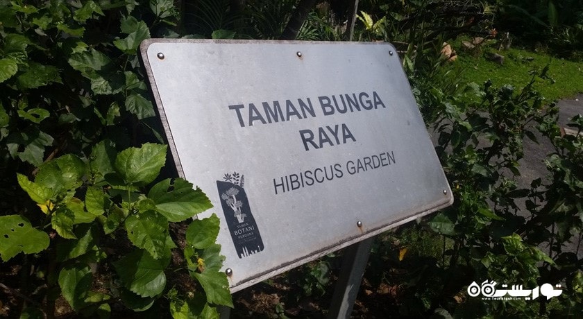 باغ هبیسکوس کوالالامپور (هبیسکوس گاردن) -  شهر کوالالامپور
