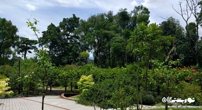  باغ هبیسکوس کوالالامپور (هبیسکوس گاردن) شهر مالزی کشور کوالالامپور