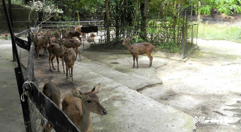  پارک گوزن کوالالامپور شهر مالزی کشور کوالالامپور