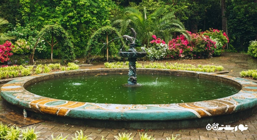 سرگرمی باغ گیاه شناسی باتومی شهر گرجستان کشور باتومی