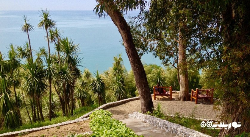 سرگرمی باغ گیاه شناسی باتومی شهر گرجستان کشور باتومی