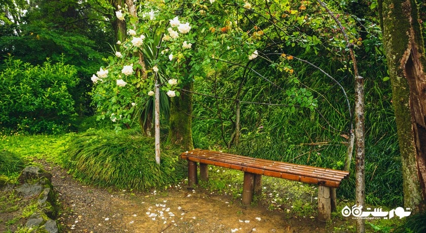 سرگرمی باغ گیاه شناسی باتومی شهر گرجستان کشور باتومی