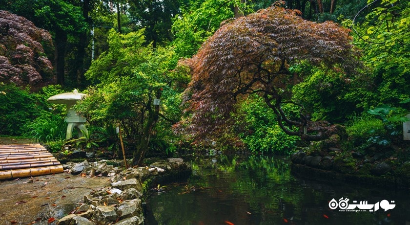 سرگرمی باغ گیاه شناسی باتومی شهر گرجستان کشور باتومی