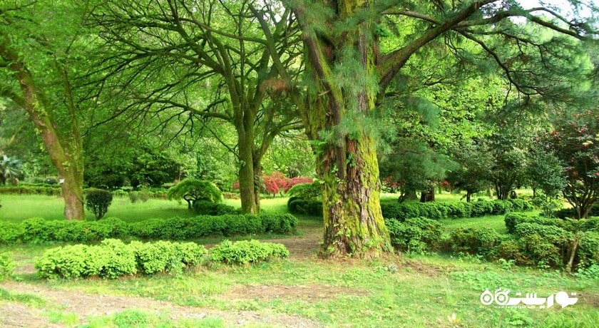 سرگرمی باغ گیاه شناسی باتومی شهر گرجستان کشور باتومی
