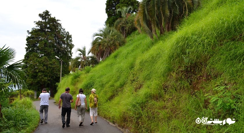 سرگرمی باغ گیاه شناسی باتومی شهر گرجستان کشور باتومی